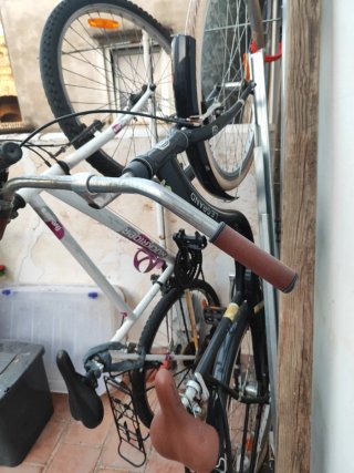 Bicicleta de paseo