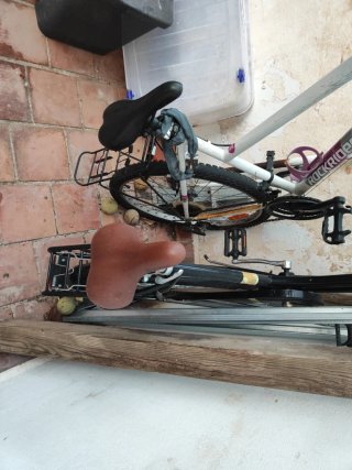 Bicicleta de paseo