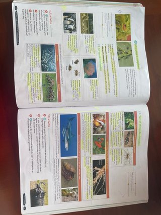 Biology & Geology 1º ESO. Student's book. GENiOX