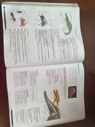 Biology & Geology 1º ESO. Student's book. GENiOX