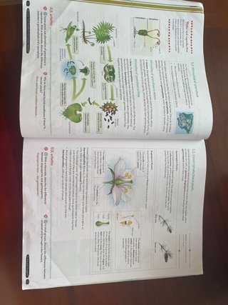 Biology & Geology 1º ESO. Student's book. GENiOX