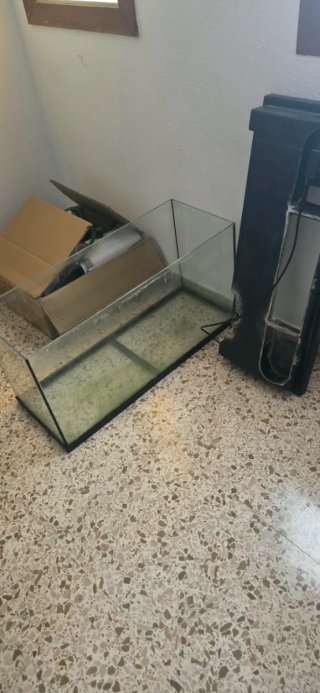 Pecera grande de cristal