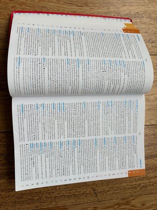 Diccionario Avanzado Primaria. Lengua española