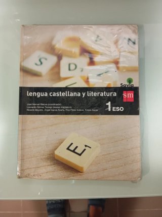 Lengua castellana y literatura 1 ESO