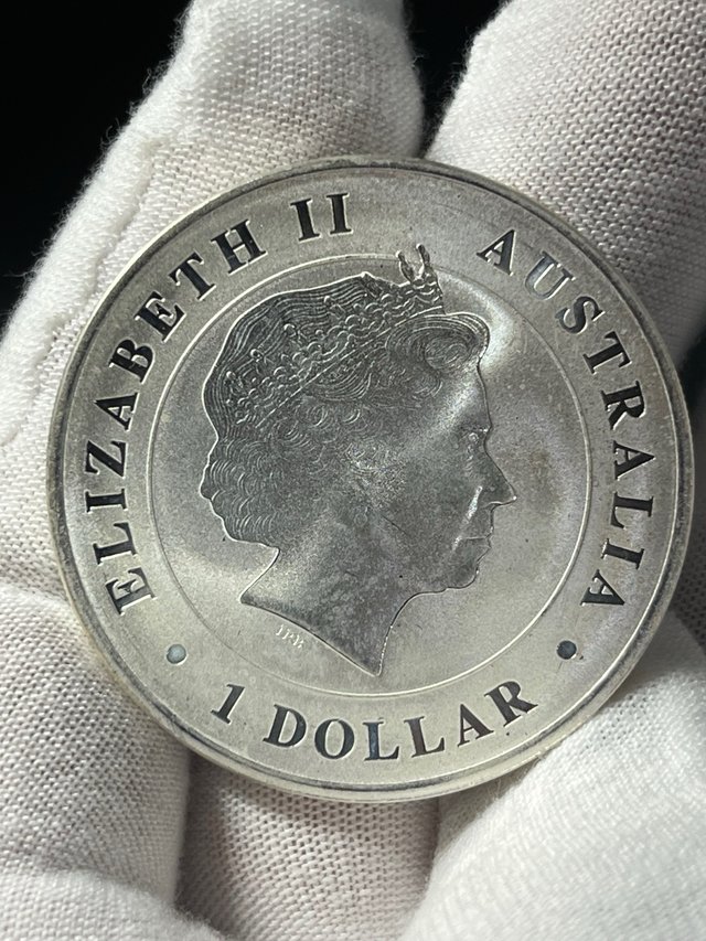 Moneda Plata Cocodrilo Australiano 1 onza 2014