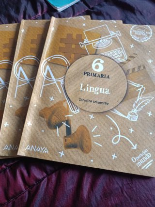 Lingua, 6 Primaria, Operación mundo