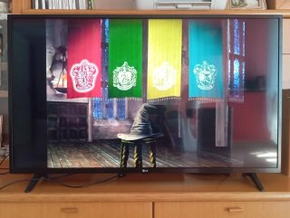 Harry Potter - La Sfida di Hogwarts DVD Game