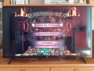 Harry Potter - La Sfida di Hogwarts DVD Game
