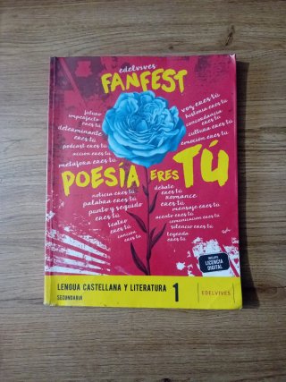 Lengua castellana y literatura 1 Secundaria