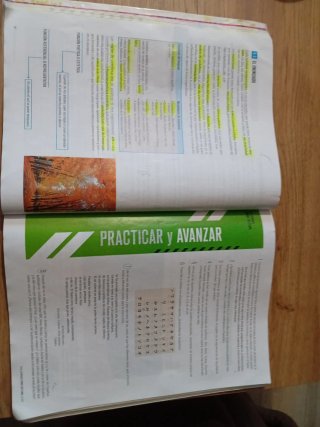Lengua castellana y literatura 1 Secundaria