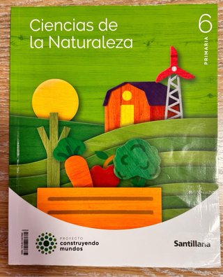 Lote de libros, 6 Educación Primaria