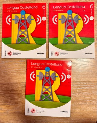 Lote de libros, 6 Educación Primaria