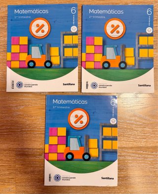 Lote de libros, 6 Educación Primaria
