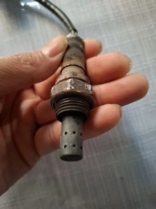 Sonda Lambda