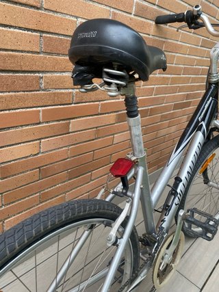 Bicicleta Specialized Expedition
