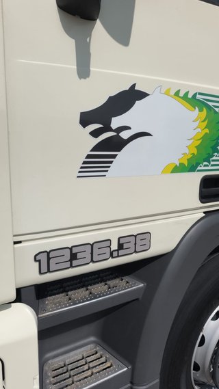 Emblema Camión 1236.38