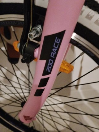 Bicicleta infantil Joystar 20 rosa