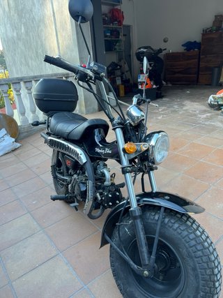 T-REX Monkey Bike 125 Negra