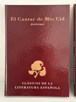 Lote 3 Libros Clásicos Literatura Española
