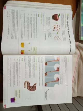 Biología y Geología. 3 Secundaria. Revuela. Com...