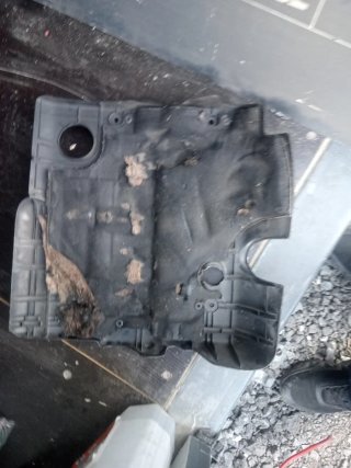 Tapa Motor Citroën HDI 2000