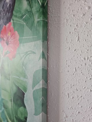 Cuadro de tucanes y hojas tropicales