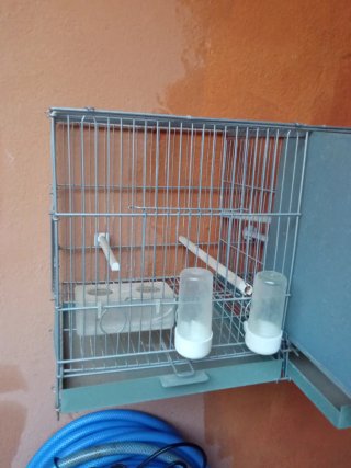 Jaula de cría para pájaros doble