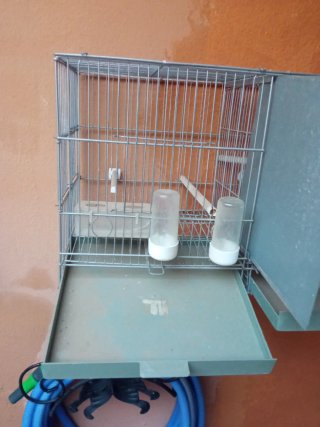 Jaula de cría para pájaros doble