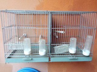 Jaula de cría para pájaros doble