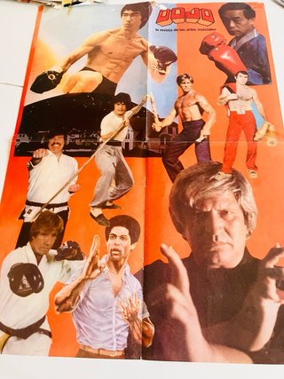 Lote Poster Bruce Lee