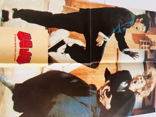 Lote Poster Bruce Lee