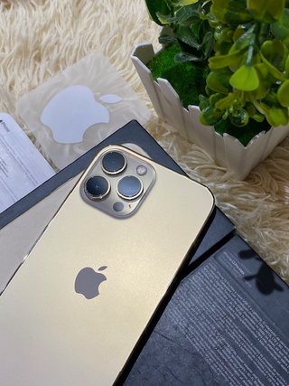 iPhone 13 Pro Max Dorado