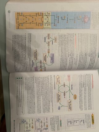 Biología 2 bachillerato