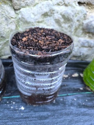 Botella para cultivo en terraza. Leer bien