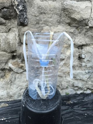 Botella para cultivo en terraza. Leer bien