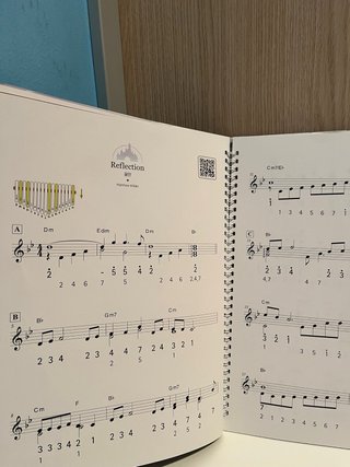 Kalimba + 3 Libros Partituras