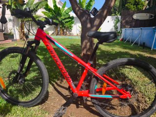 Bicicleta Montaña Cannondale 26