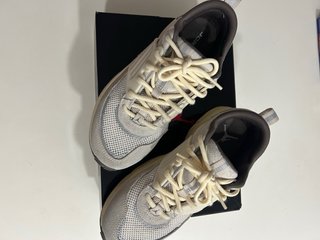 Jordan Trunner Beige/Gris