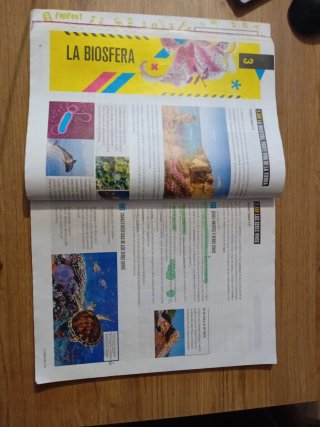 Proyecto: FanFest - Biología y Geología 1 ESO