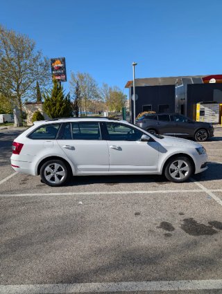 Skoda Octavia 2019