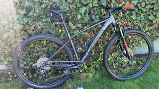 Orbea Alma