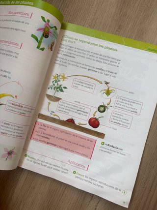Ciencias de la naturaleza : 3o Primaria : Extre...