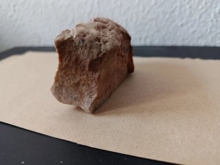 Roca con extraños dibujos posibles fosiles?