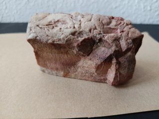 Roca con extraños dibujos posibles fosiles?