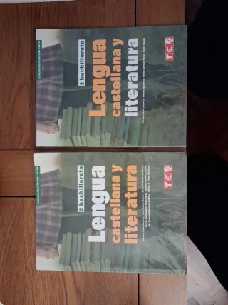 LENGUA CASTELLANA Y LITERATURA 2º BACHTO. - CAV...