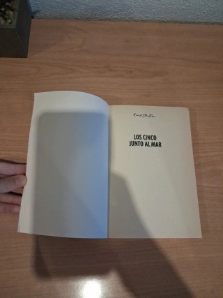 Libro de Los Cinco junto al mar