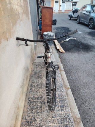 Bicicleta Trial Alluminio Monty