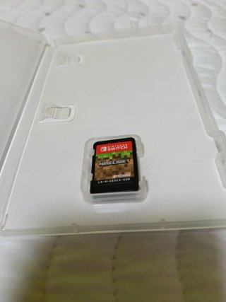 Minecraft Nintendo Switch