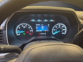 Ford F-150 XL 2023