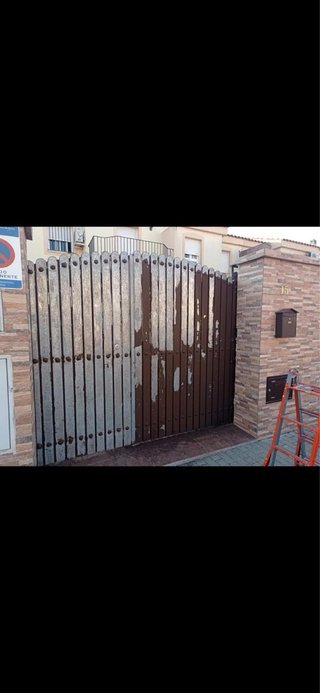 Pintor Profesional